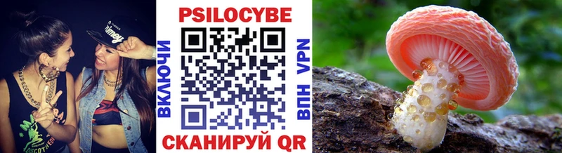 Купить  Белинский  Галлюциногенные грибы GOLDEN TEACHER 